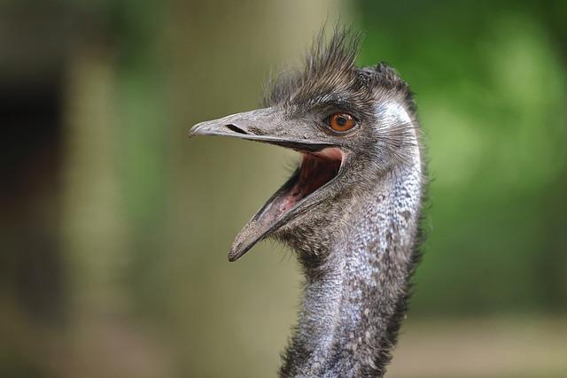 EMU: Jaké má výhody a nevýhody pro členy eurozóny